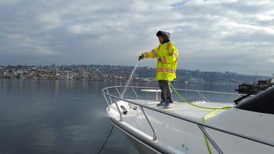 Boat Cleaning by Crew Members of Deckhand Detailing